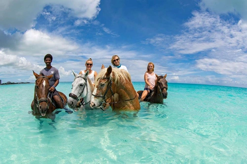 What Airlines Fly To Turk And Caicos USA Canada Europe London New York Miami